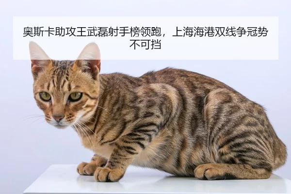 ao-si-ka-zhu-gong-wang-wu-lei-she-shou-bang-ling-pao-shang-hai-hai-gang-shuang-xian-zheng-guan-shi-bu-ke-dang-2-411.jpg
