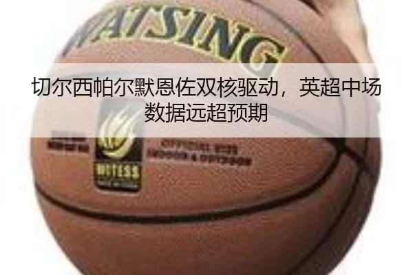 qie-er-xi-pa-er-mo-en-zuo-shuang-he-qu-dong-ying-chao-zhong-chang-shu-ju-yuan-chao-yu-qi-3-102.jpg